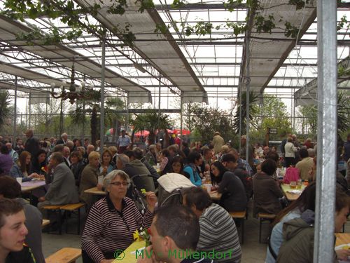 Frühlingsfest Unger