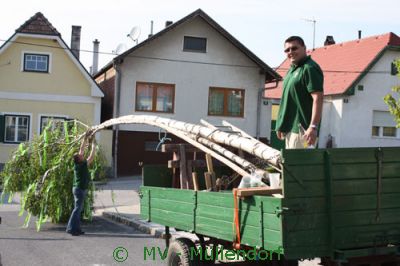 Maibaumaufstellen 2010