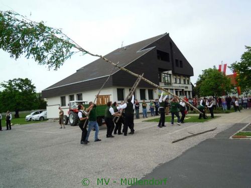 Maibaumaufstellen