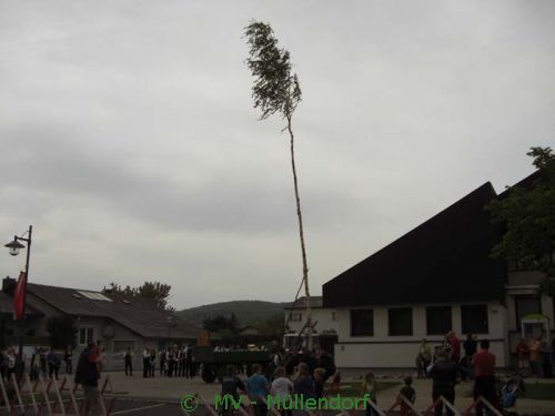 Maibaumaufstellen