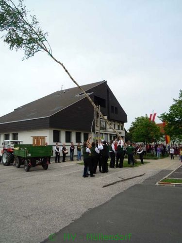 Maibaumaufstellen