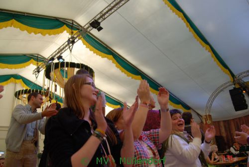 Wiener Wiesn' 2013