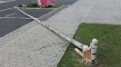 Foto 01.05.17, 16 06 40 (1)